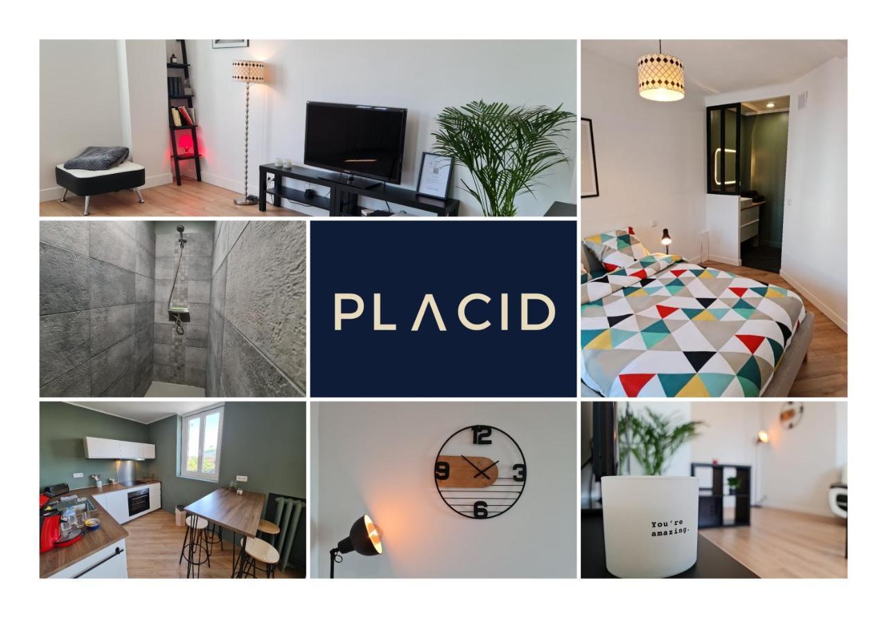 Le Scottmanhouse - Appartement Prive - Centre Ville - Gare - Wi-Fi Arras Bagian luar foto